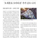 모아빌딩 이미지