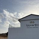 돌담목장 | 목장카페 밭디 솔직 후기｜아기 승마 체험까지, 바람 부는 날은 비추천!