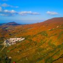 진신농장 이미지