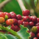 이미숙농장 이미지