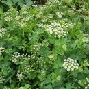 텃밭민박 이미지