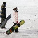 양지파인리조트 이미지