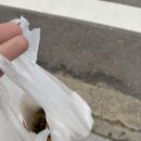 현서다방 이미지