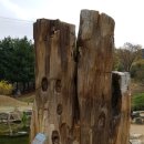 상록행정사사무소 이미지