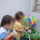 라임어린이집 이미지