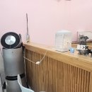 Gentle 멍멍 네이버블로그