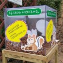 도토리 이미지
