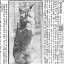 호랑이담배피던시절 이미지