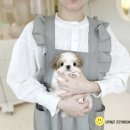 모델독켄넬 이미지