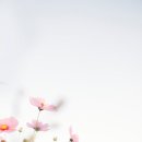 샤워하는운동화 이미지