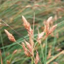 제주하늘지기 이미지