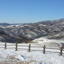 대관령전망대 이미지