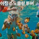 여행하기 좋은 날 이미지