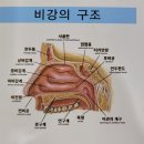 둘리한의원 이미지