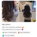 머리하는이유 - 남구 회재로1218번길 10 | 제 고객님들의 찐 후기 !! + 저한테 머리를 받으셔야 하는 이유 🩷 | 고척미용실 구로미용실 개봉미용실...