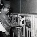 구상목장 이미지