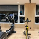 (정선) 파크로쉬 리조트앤웰니스 솔직후기 (웰니스 프로그램 🧘🏻‍♀️)
