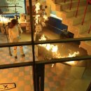 지니카센타 이미지