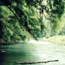 영통에이스치과의원 이미지