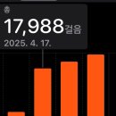 리가양꼬치 이미지