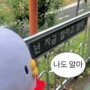 술토리