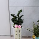 행복이가득한서울약국 이미지
