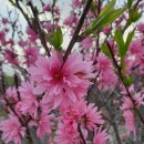 오늘, 정원 이미지