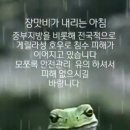 상처받은 영혼 이미지