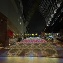 대계마을 | [교토 2주 여행기/8일차] 오마카세 스시이와/교토3대커피 스마트커피/교토역스카이웨이/교토 라멘 코지...