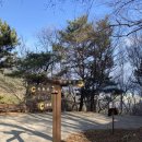 남해-308 | 경남 통영 벽방산 최단코스 | 안정재 출발 초간단 코스 ⛰️🔥