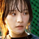 하이히트에 대해 궁금한 점 이미지