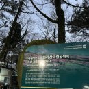 인생 2번째 등산이 한라산 : 찐 초보 여자 등린이의 12월 한라산 등반 후기 (관음사,성판악)