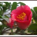 삼거리농장 이미지