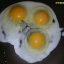 산약초이야기 이미지