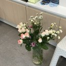 합정오아시스약국 이미지