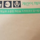 고성지역자활센터(땅꼴농장) | 땅꼴농장 유정란 20알 1만 원 / 날계란도 맛있다. ㅋㅋㅋ