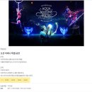 제주 한달살기 18개월 아기와 아쿠아플라넷 제주 늦은 오후권 이용 후기(할인 총정리)