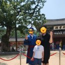 경기도 문화의 날 [문화공감시대] part2 전통예술이야기 | [수원 화성행궁] 아빠가 정조대왕 된 날! 2026 장용영 수위의식 참여 후기(feat. 무예24기)