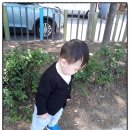 신에덴 어린이집 이미지