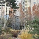 한화꿈에그린공인중개사사무소 | 현재, 동탄역한화에서 가성비 좋은 매물