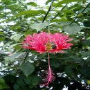 창조주의 이미지