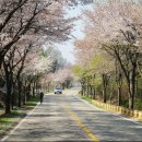 대청3세천 이미지