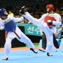 세종태권도체육관 이미지