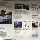 티렉스(TREX)