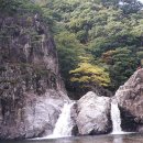 포남주유소 이미지