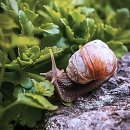 조짐 | 드디어 짐 싼다! 내 인생 첫 포장이사 후기 조짐 보이기 시작함