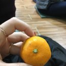 나무이야기 펜션 리솜포레스트 이미지