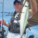 오산항낚시터 이미지