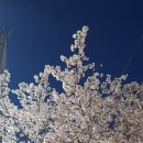 치현 | 서울 야경명소 치현정 서울물재생공원 야경스팟 후기