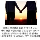 맞춤나라